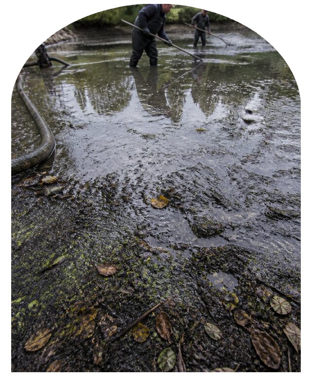 Очистка пруда в Грозном от ила мусора и водорослей с вывозом